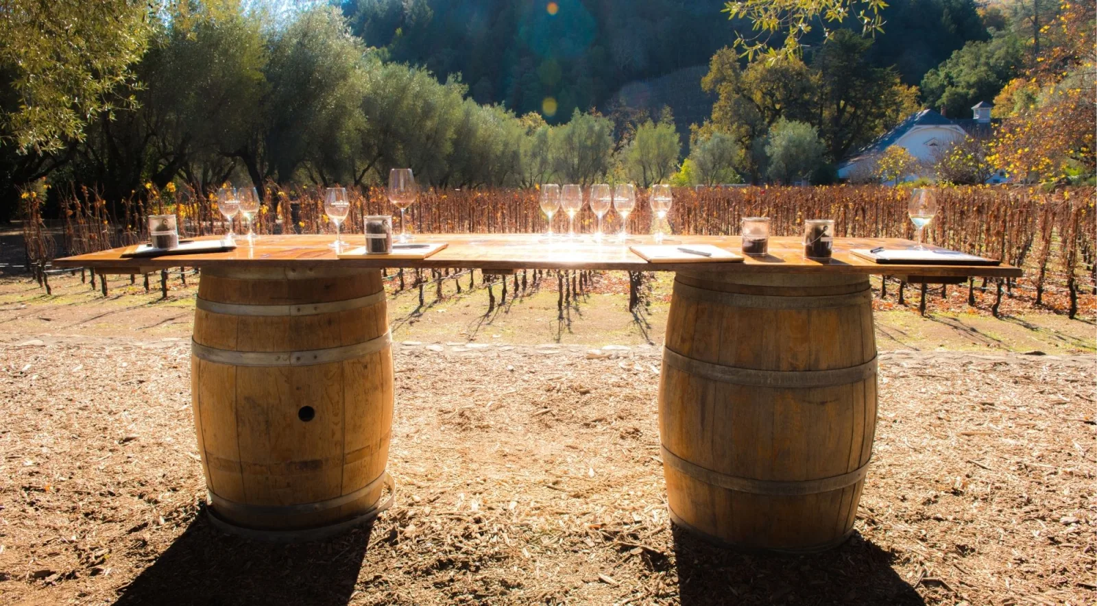 Wine tasting table set on barrels overlooking rows of vines