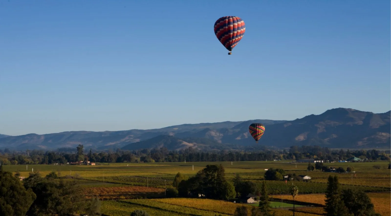 Two hot air balloons drifting over Napa Valley vineyards at sunrise