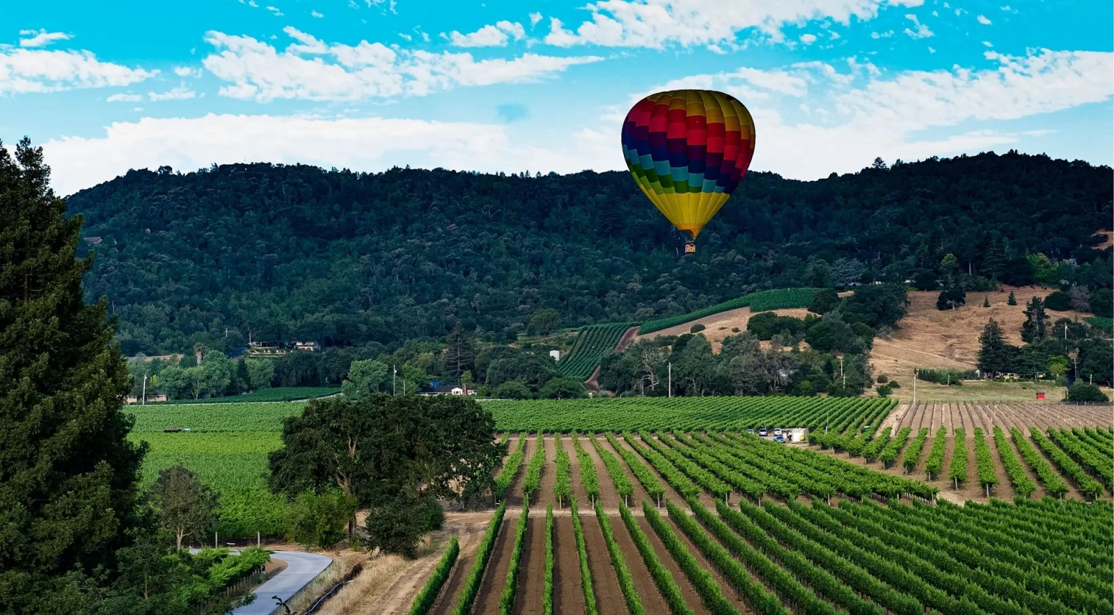 Hot air balloon over a forested hillside above Napa Valley vineyards