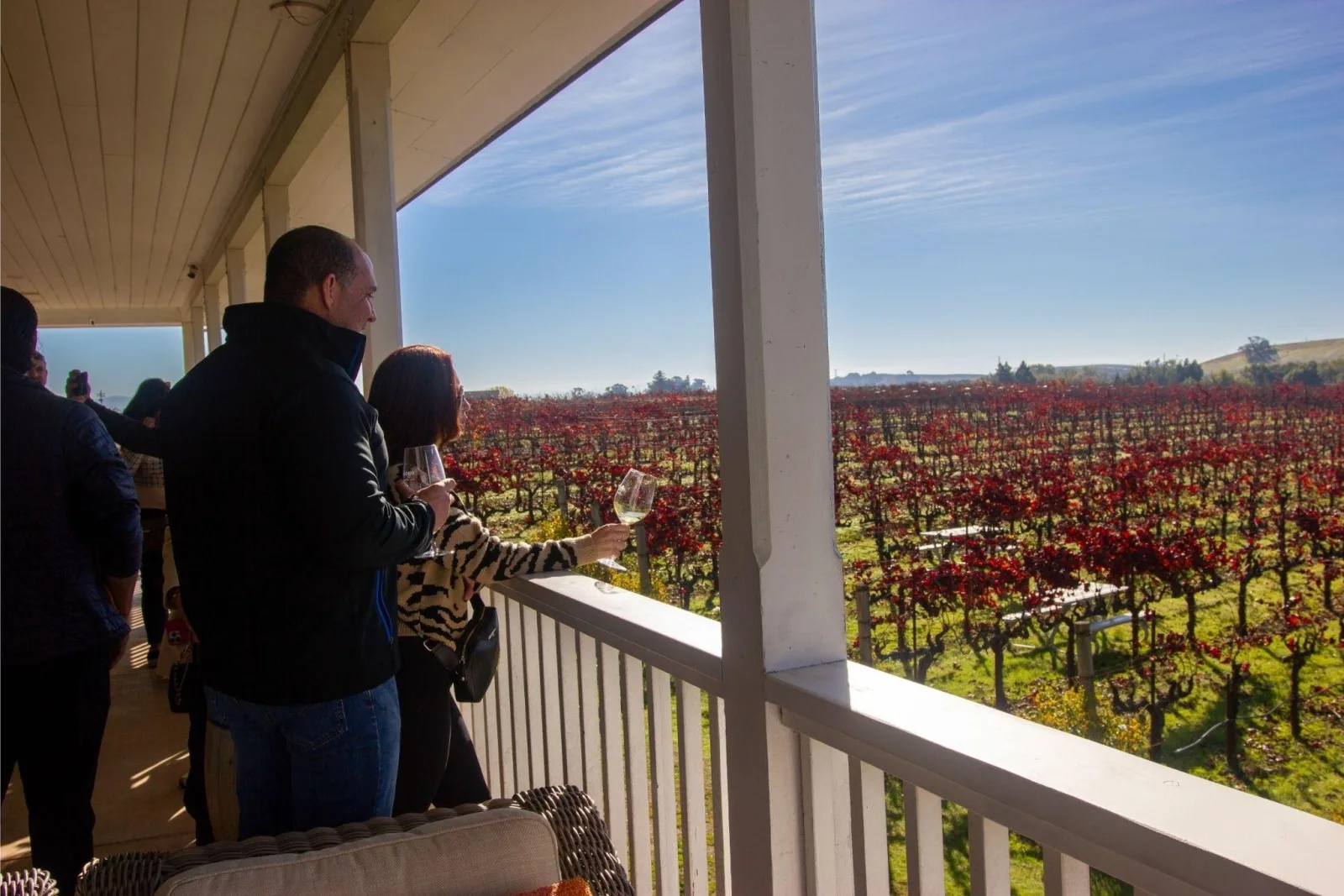Guests sipping wine on a vineyard-view porch surrounded by red autumn vines