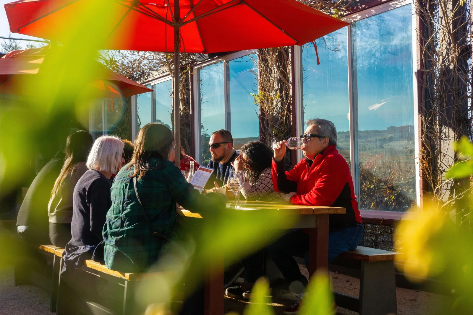 San Francisco: Napa & Sonoma Wine Tour with Optional Tasting