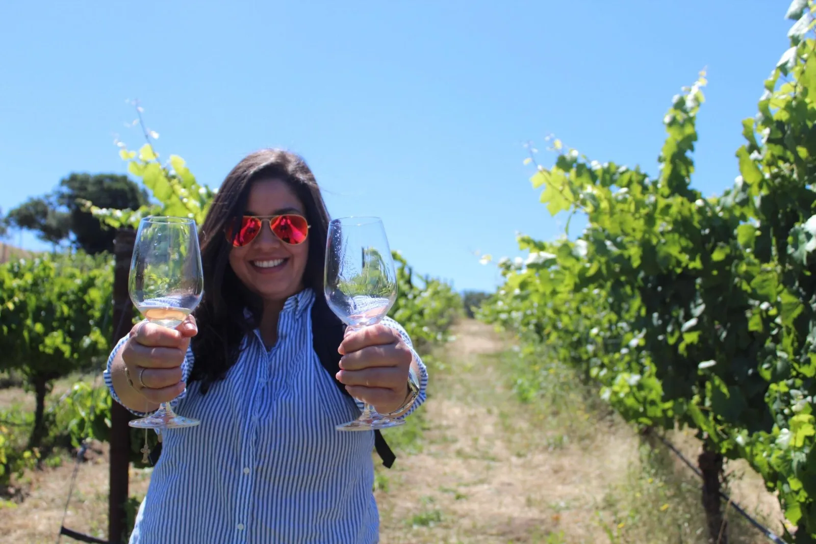 Guest holding up two wine glasses between rows of vines